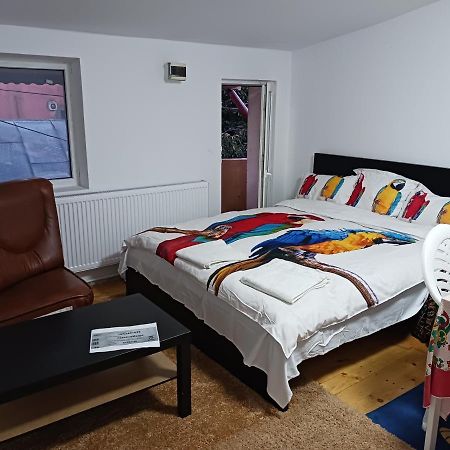 Sara 3 Dormitoare Nu Primesc Santieristi Si Petrecareti Villa Bucureşti Ngoại thất bức ảnh