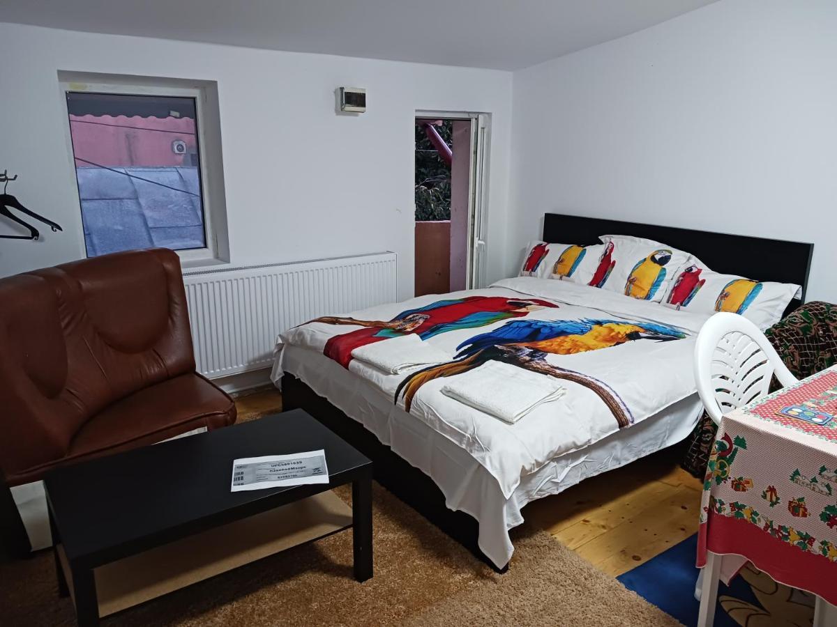 Sara 3 Dormitoare Nu Primesc Santieristi Si Petrecareti Villa Bucureşti Ngoại thất bức ảnh