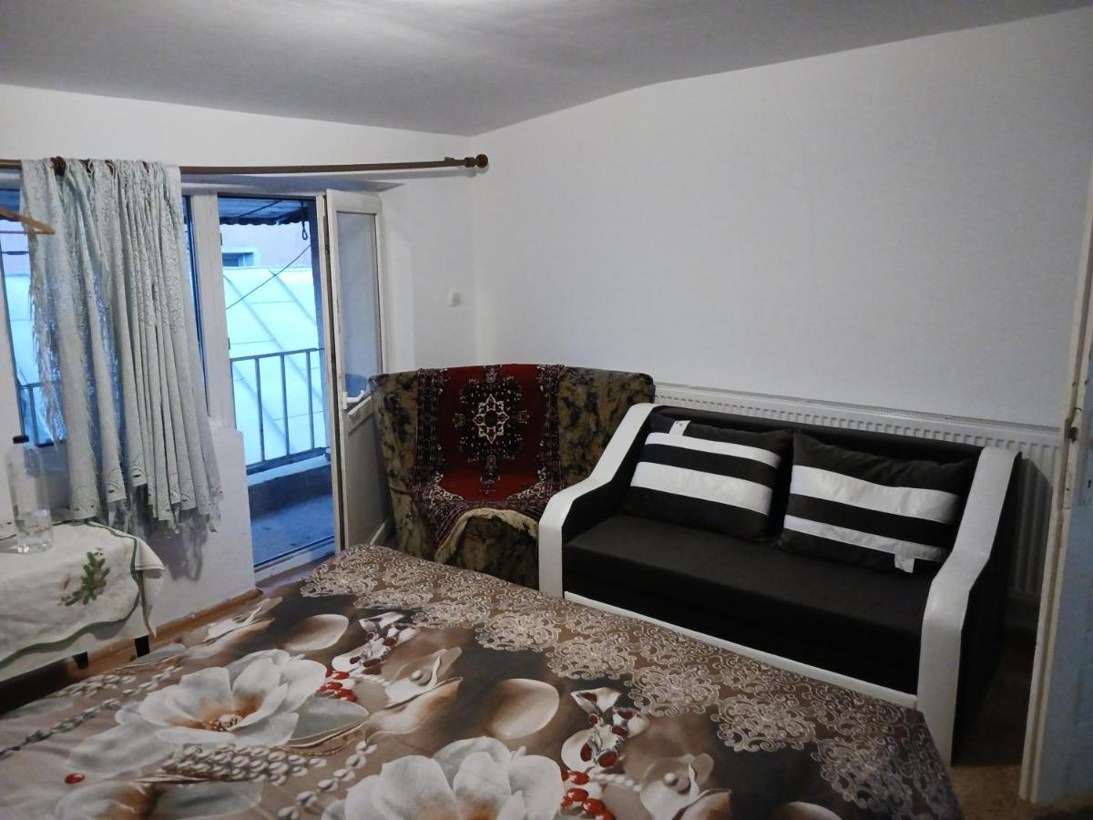 Sara 3 Dormitoare Nu Primesc Santieristi Si Petrecareti Villa Bucureşti Ngoại thất bức ảnh